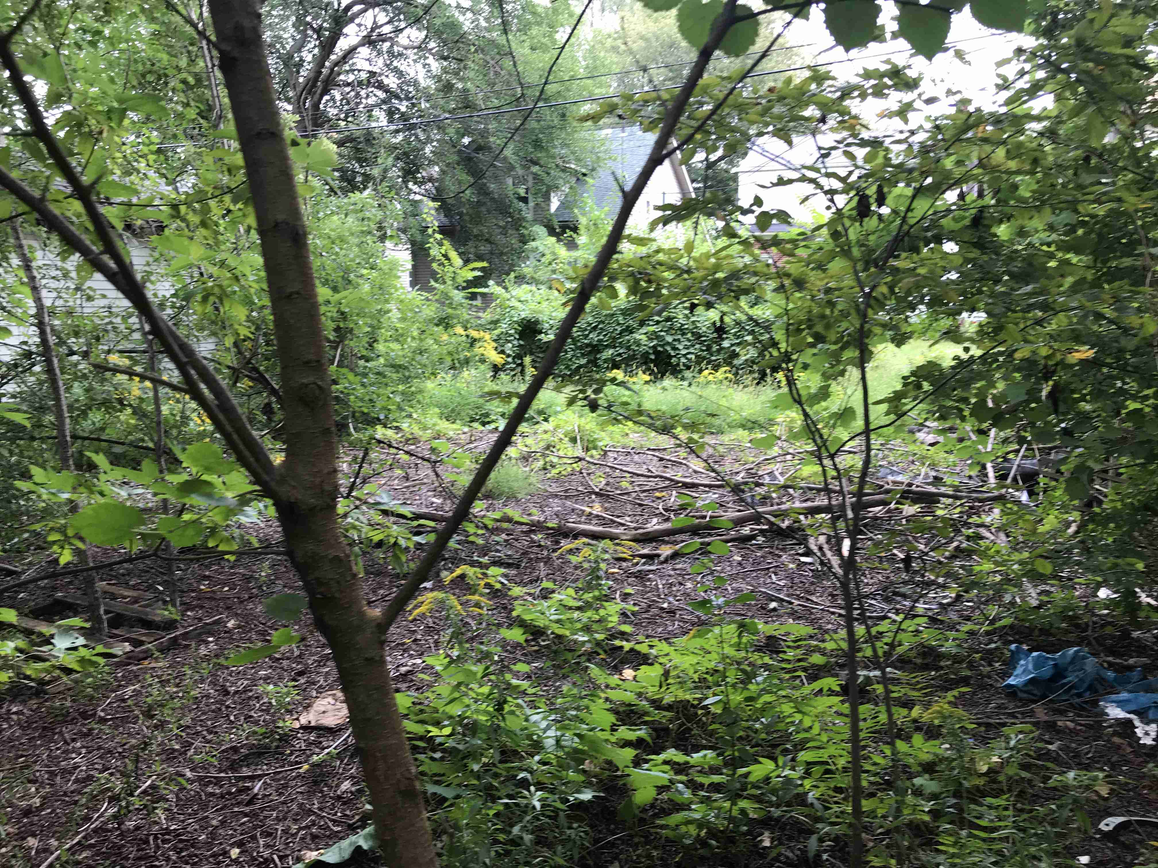 Photo Sep 10, 3 34 12 PM.jpg